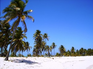 Half Moon Caye Lighthouse Reef Atoll