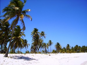 Half Moon Caye