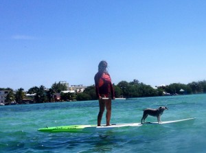 Paddle boarding with Tsunami Adventures